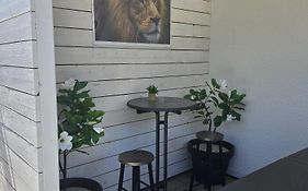Lions Place Premium Apartments Comfort Optionaler Zugang Zum Spa- Bereich